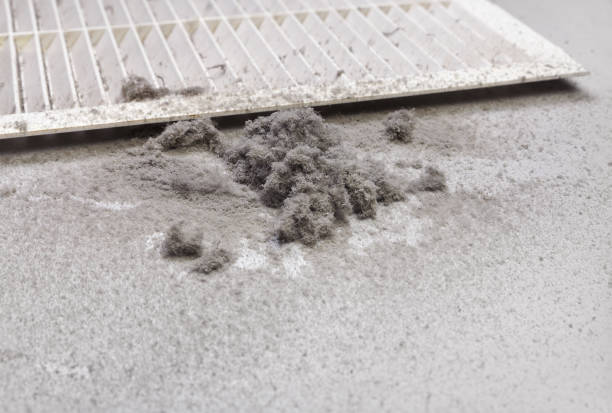 Best Emergency Air Duct Cleaning  in Lake City, MN