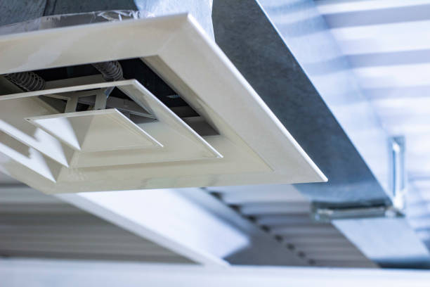 Best Commercial HVAC Duct Cleaning  in Lake City, MN