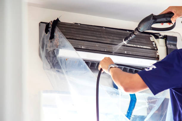 Best Commercial Air Duct Cleaning  in Lake City, MN