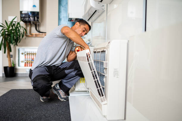 Best Air Duct Mold Removal  in Lake City, MN