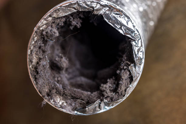 Best Duct Cleaning for Homes  in Lake City, MN