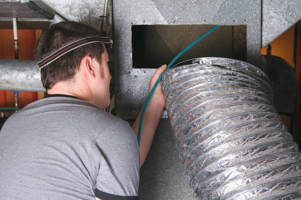 Best Best Air Duct Cleaning Company  in Lake City, MN