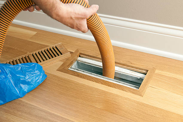 Best HVAC Maintenance and Cleaning  in Lake City, MN