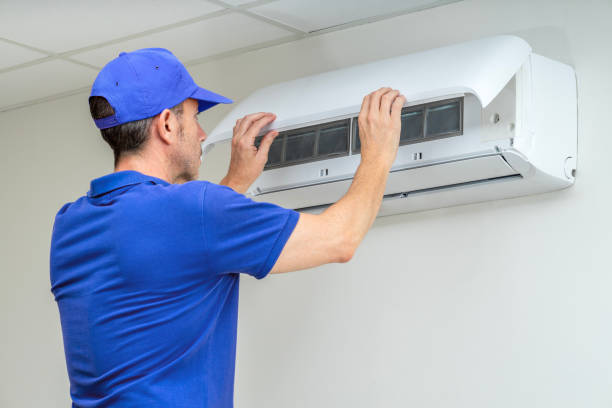 Best Air Duct Cleaning Company Near Me  in Lake City, MN