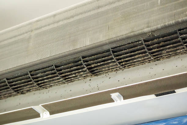HVAC System Cleaning in MN