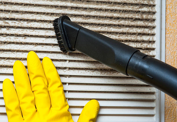 Best HVAC Air Duct Cleaning  in Lake City, MN